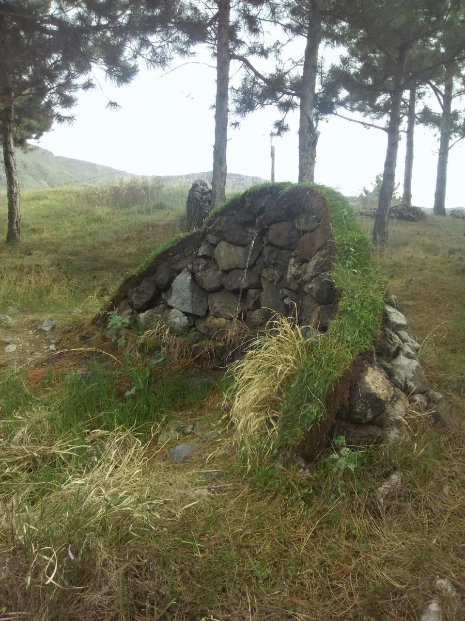 T'mogviWooden House ,,Tsunda"别墅 客房 照片